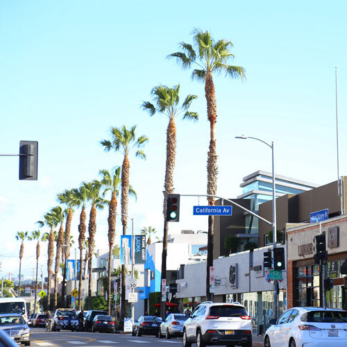 What is Venice Beach? Most Important Facts About Venice