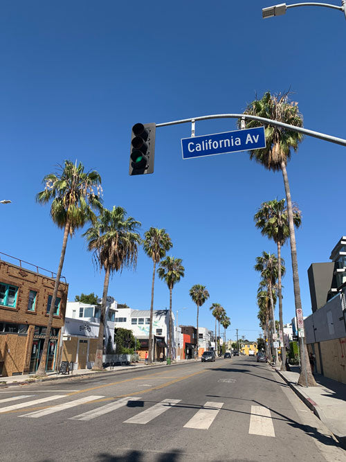 Complete List of Companies from Venice, California (2022)