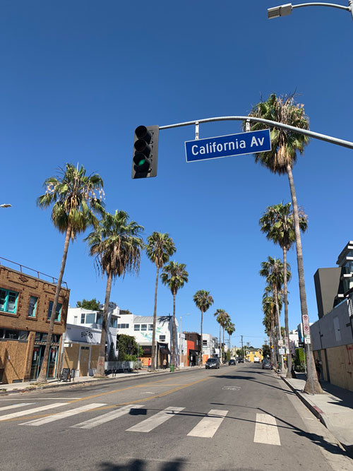 Complete List of Companies from Venice, California