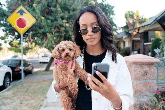 Best Dog Walker Accessories & Must-Haves in 2024